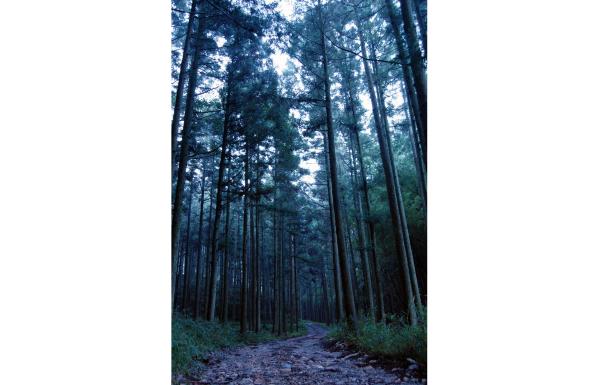 古処山キャンプ村「遊人の杜」-5