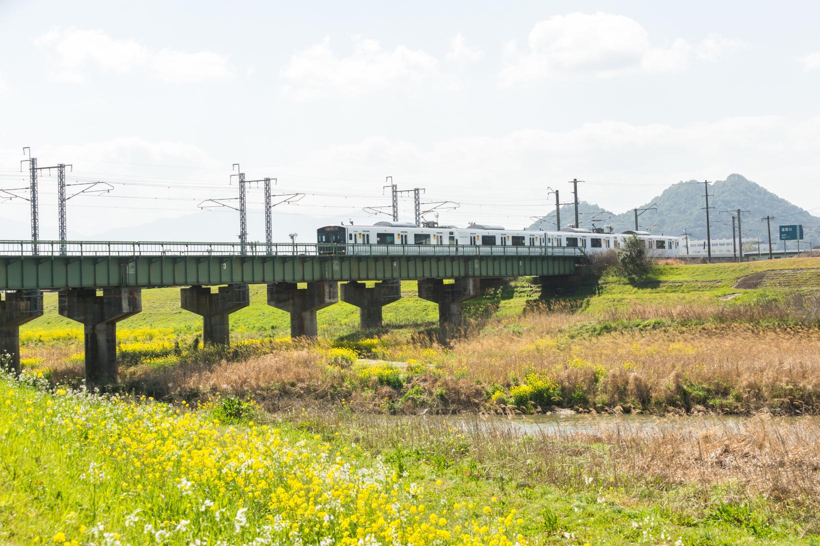 捨石山-4