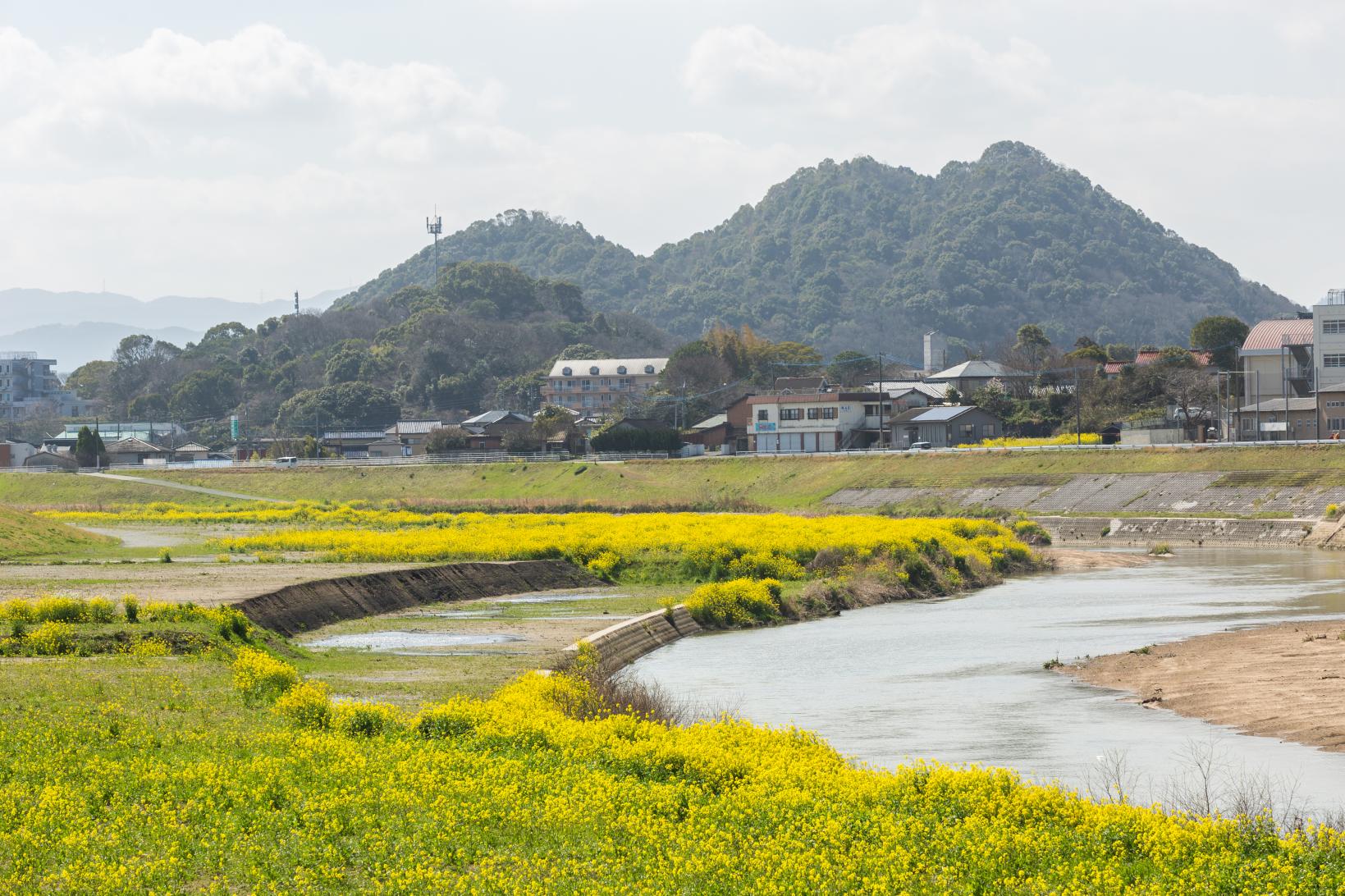 捨石山-3