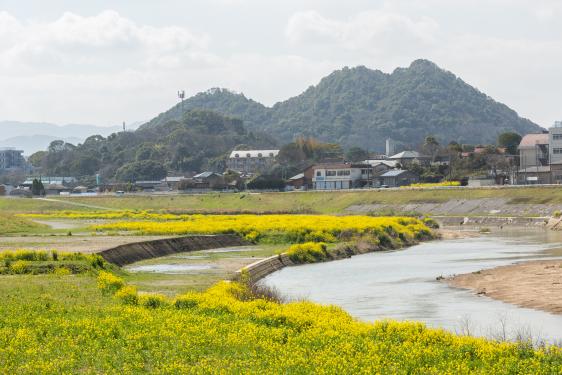 捨石山-3