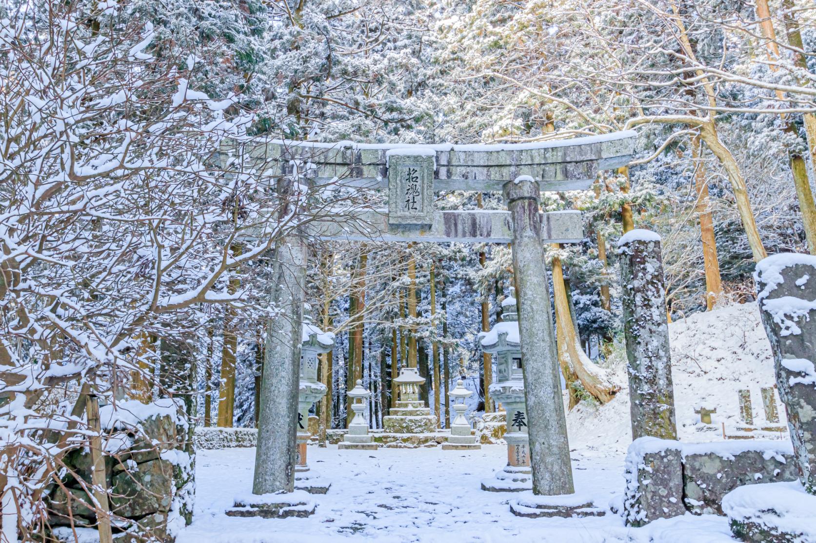 セレズニアの聖域/Selesnya Sanctuary》[C16] 土地U | 日本最大