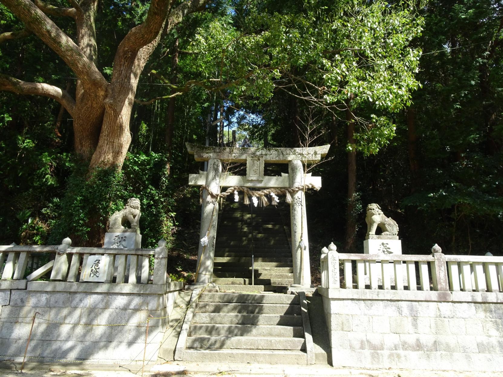 綱分八幡宮-2