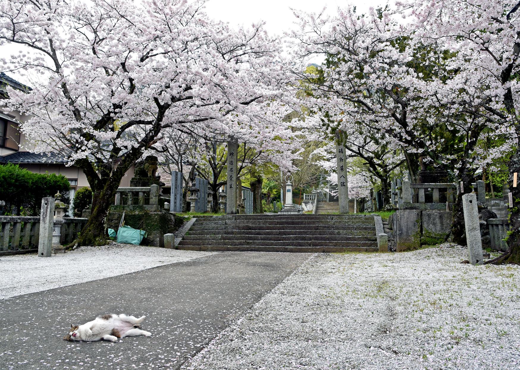 香春神社-1