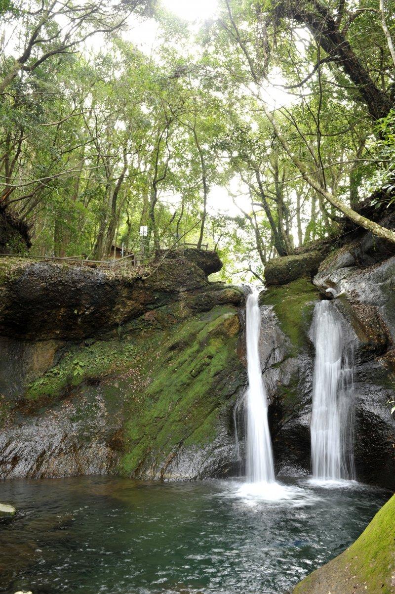 Jabuchi Falls