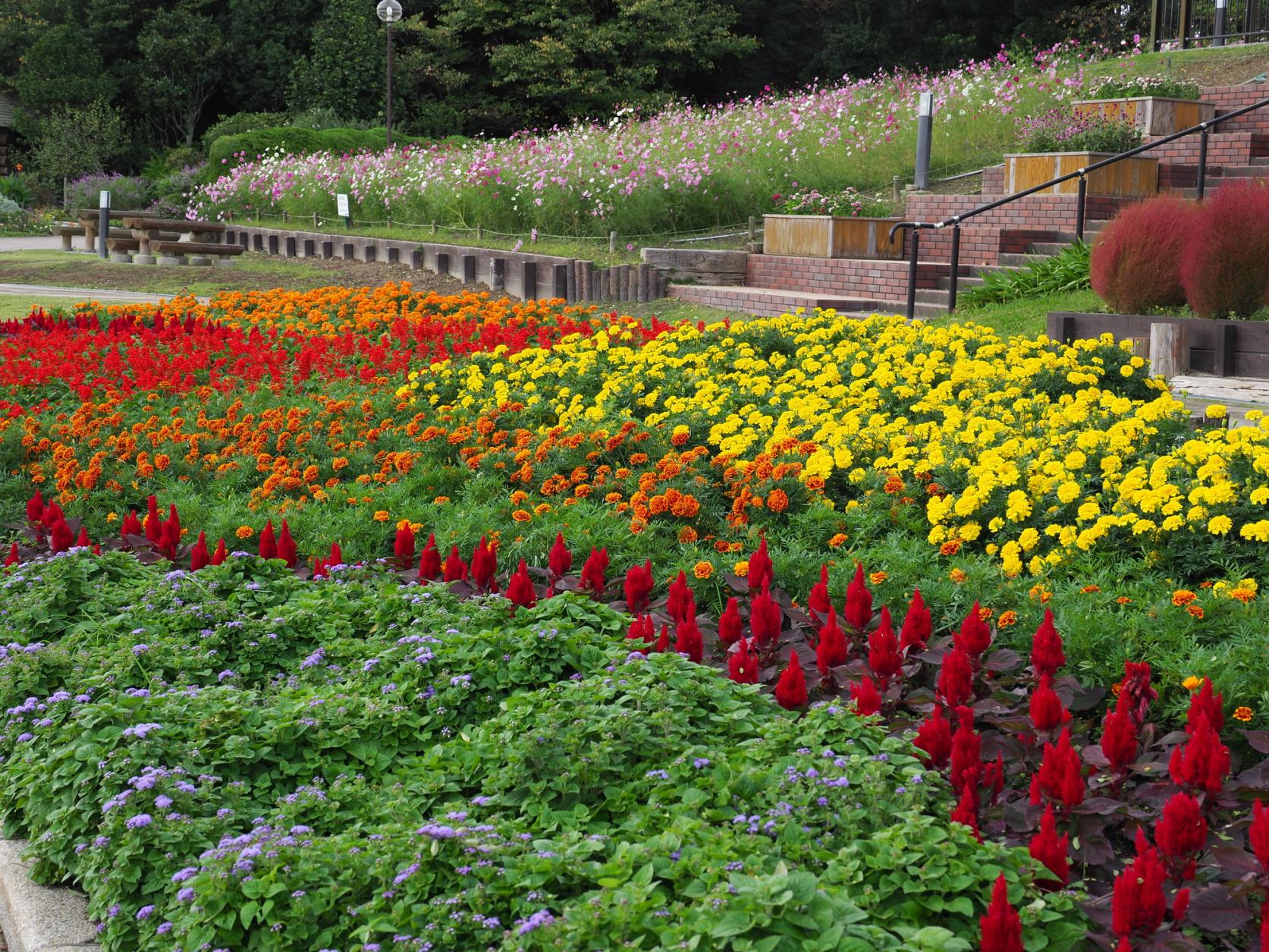 Kitakyushu Municipal Hibikinada Green and Green Park-7