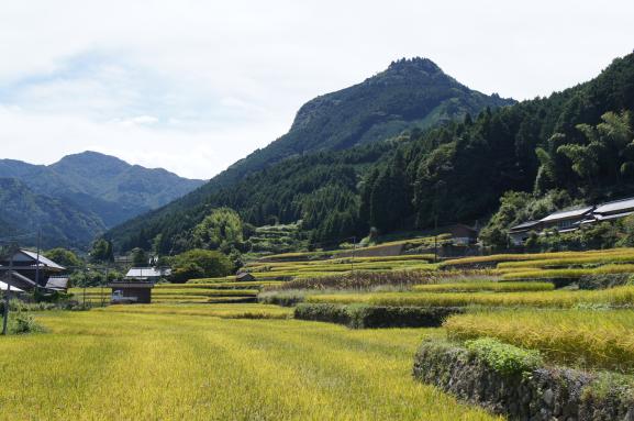 求菩提山-1