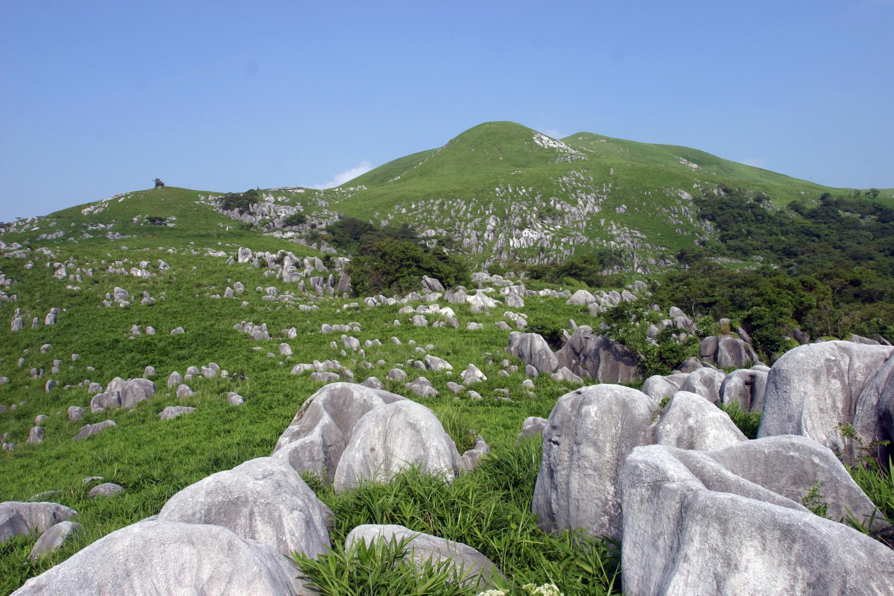 平尾台