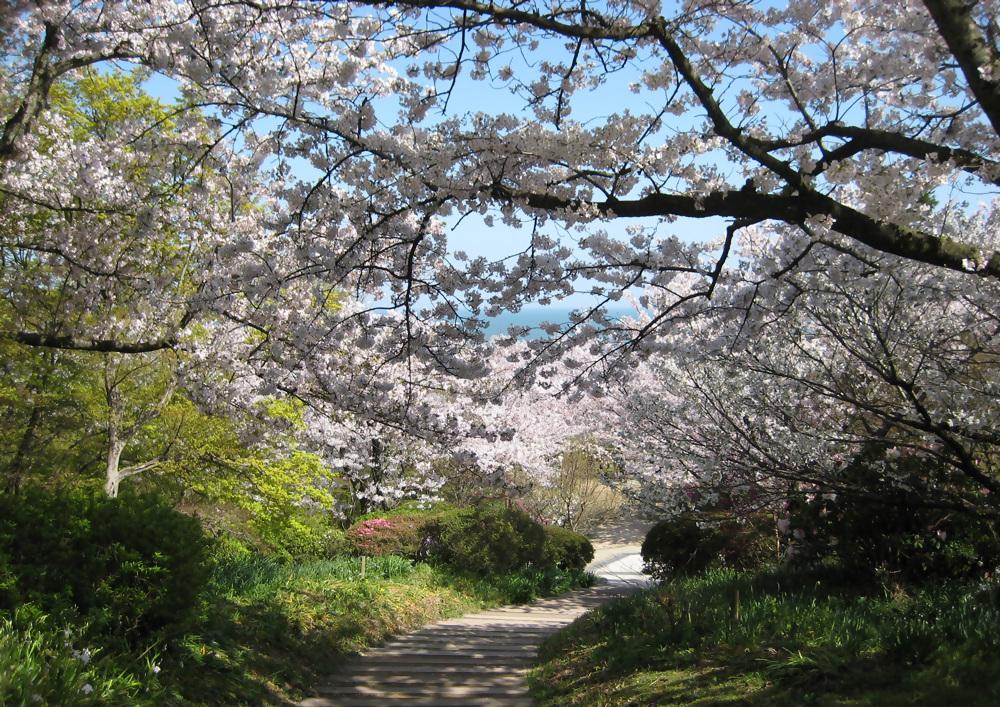 白野江植物公園