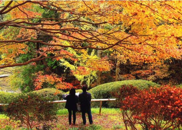 白野江植物公園-1