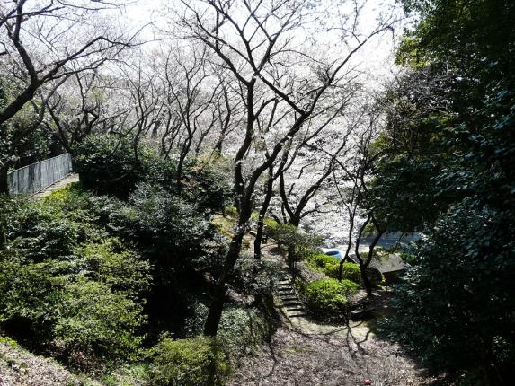 城山公園　【芦屋町】-0