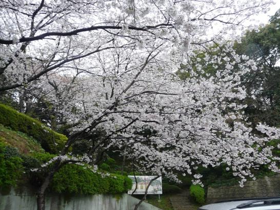 城山公園　【芦屋町】-2