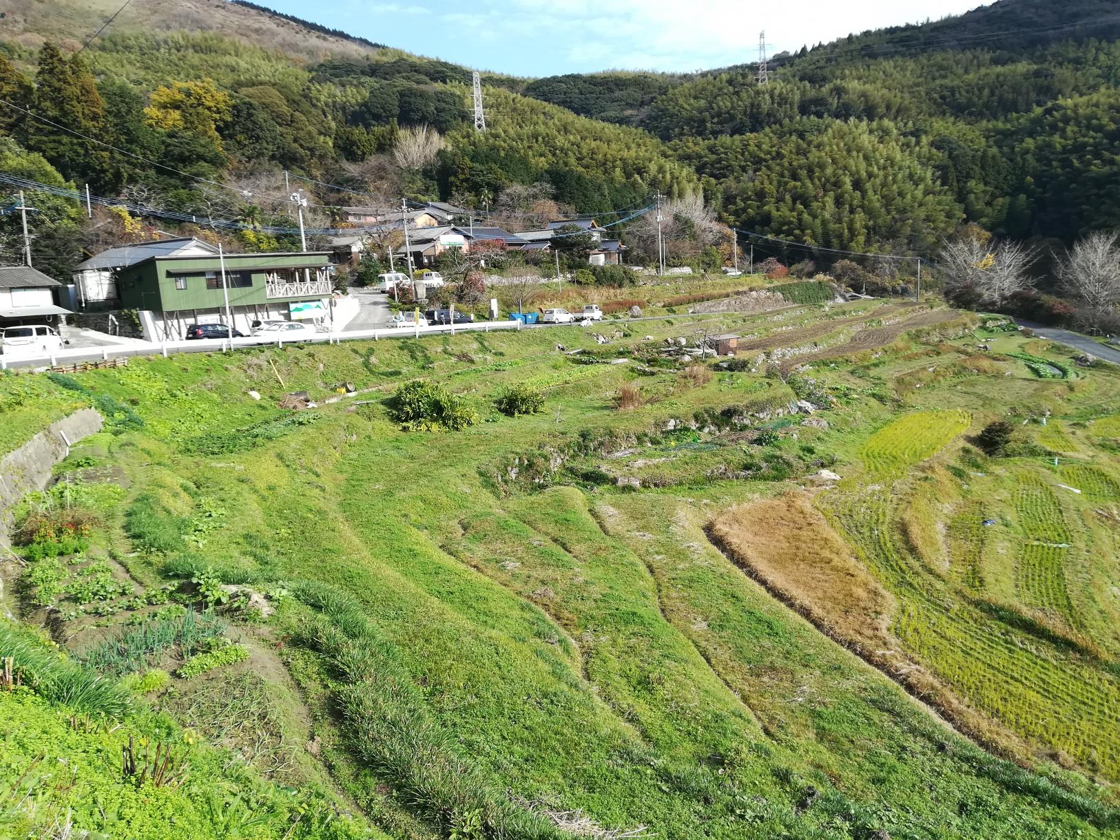 等覚寺地区の棚田-1