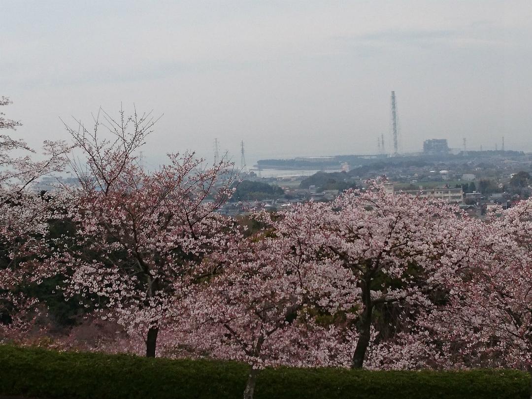 Tenchizan Park-1