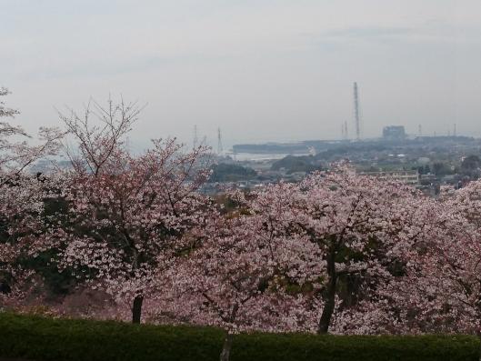 天地山公园-1