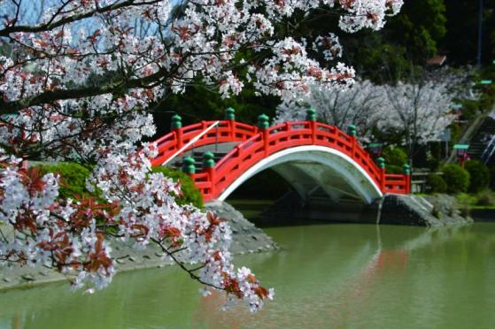 垣生公園-0