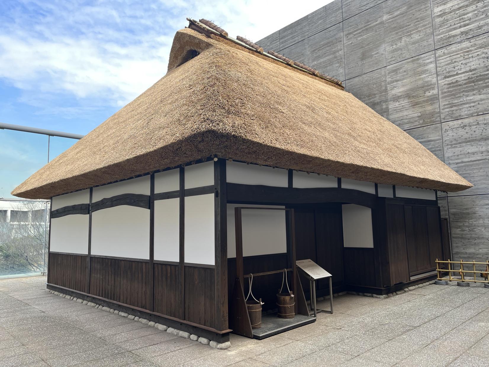 北九州市立自然史·歷史博物館（生命之旅博物館）-5