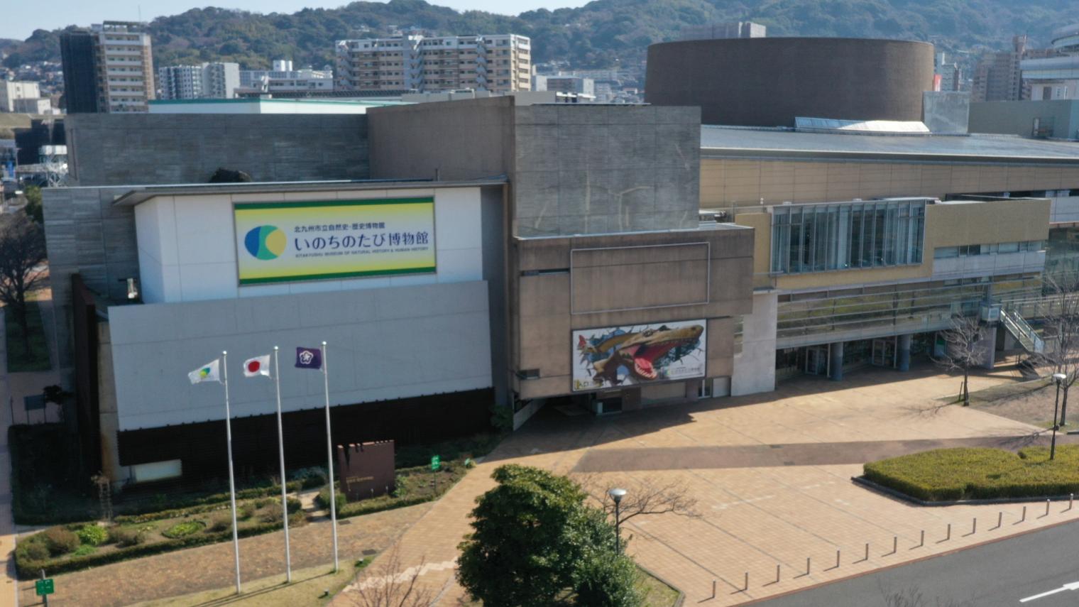 北九州市立自然史·历史博物馆 生命之旅博物馆-6