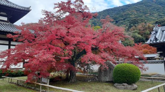 広寿山福聚寺-1