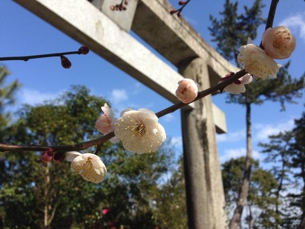 Tsunashiki Tenmangu Shrine-5