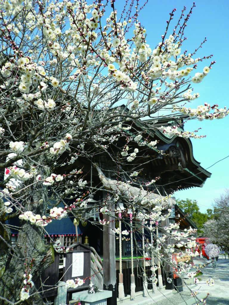 Tsunashiki Tenmangu Shrine