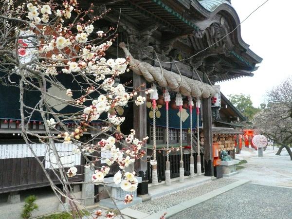 Tsunashiki Tenmangu Shrine-1