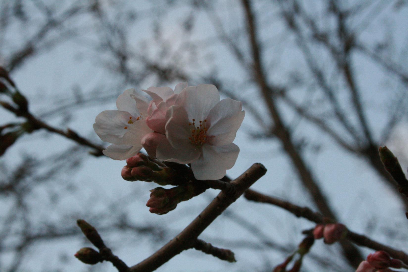 芦屋釜の里-8