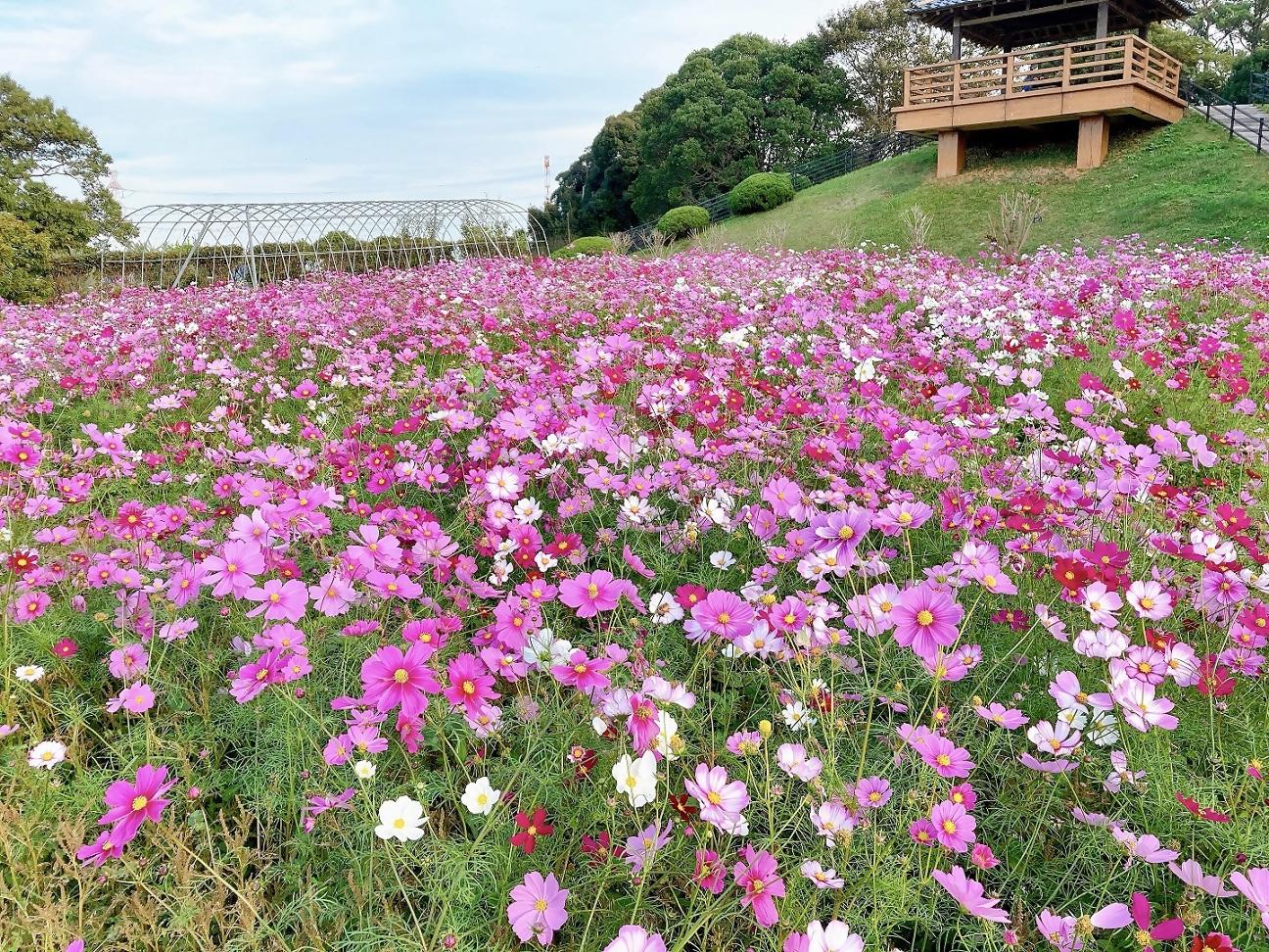 北九州市立総合農事センター　花農丘公園