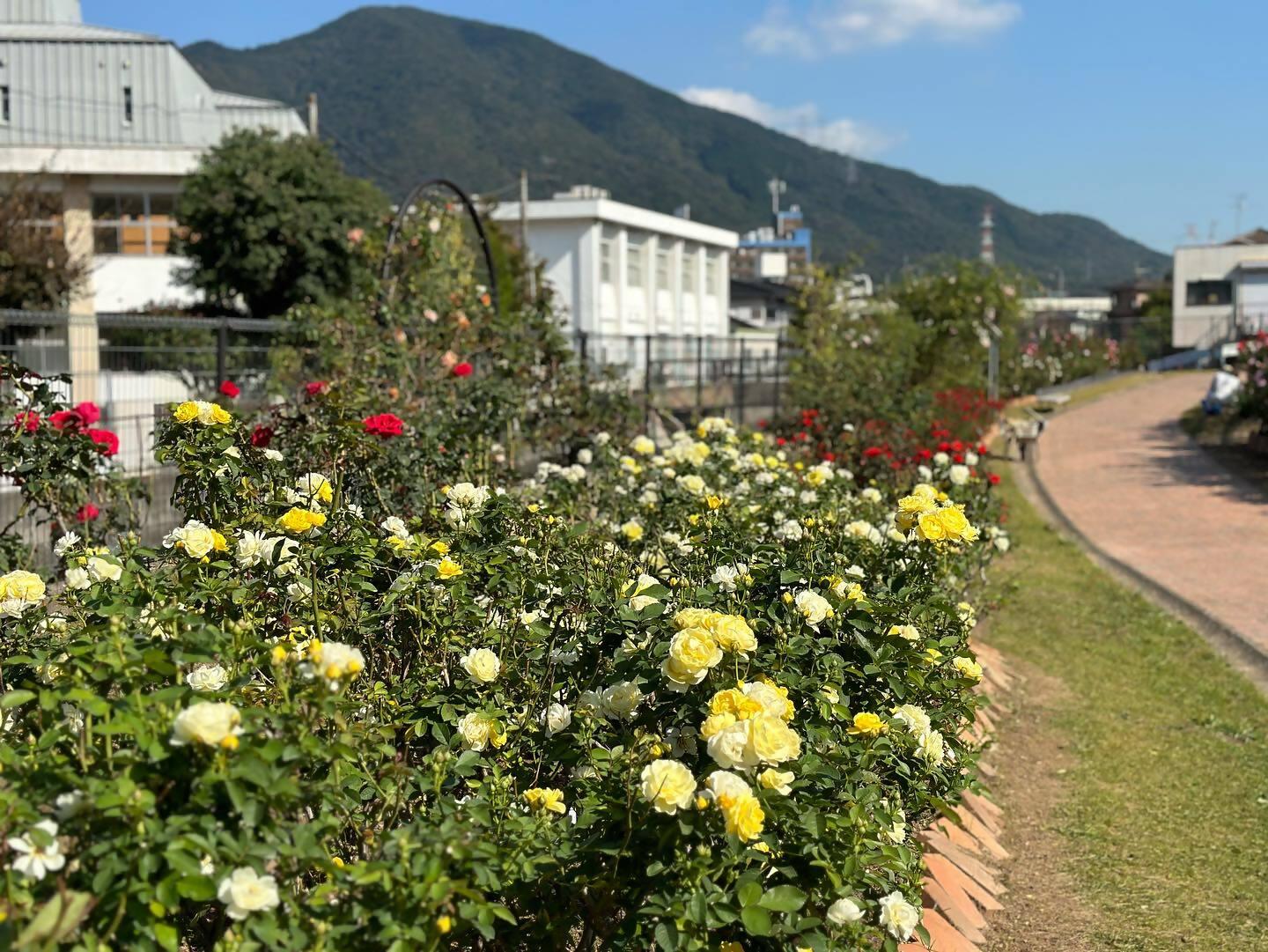 花農丘公園　北九州市立総合農事センター　-5