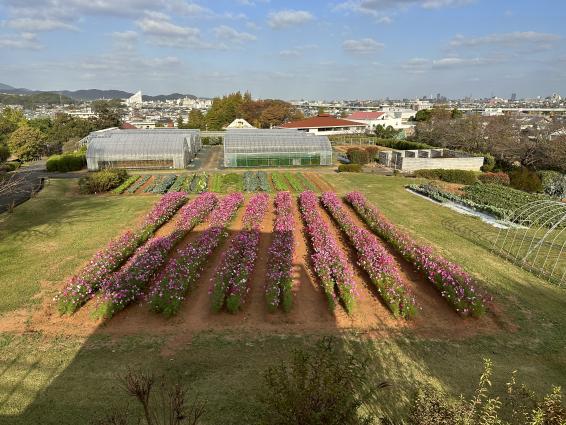花農丘公園　北九州市立総合農事センター　-3