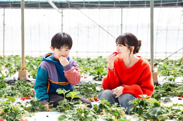 Buzen Fruitland-2