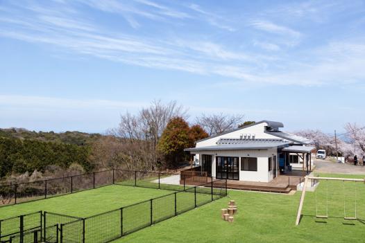 Buzen Fruitland-9