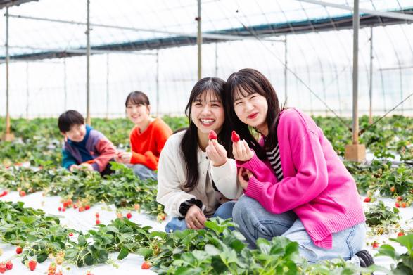 Buzen Fruitland-1