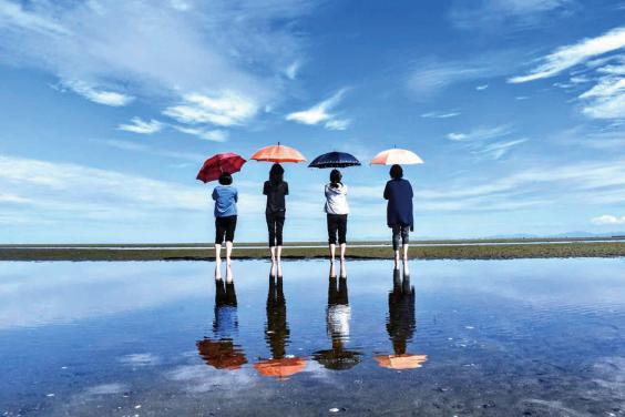 [Cancelled in 2022] Shiraishi Coast shell gathering-2
