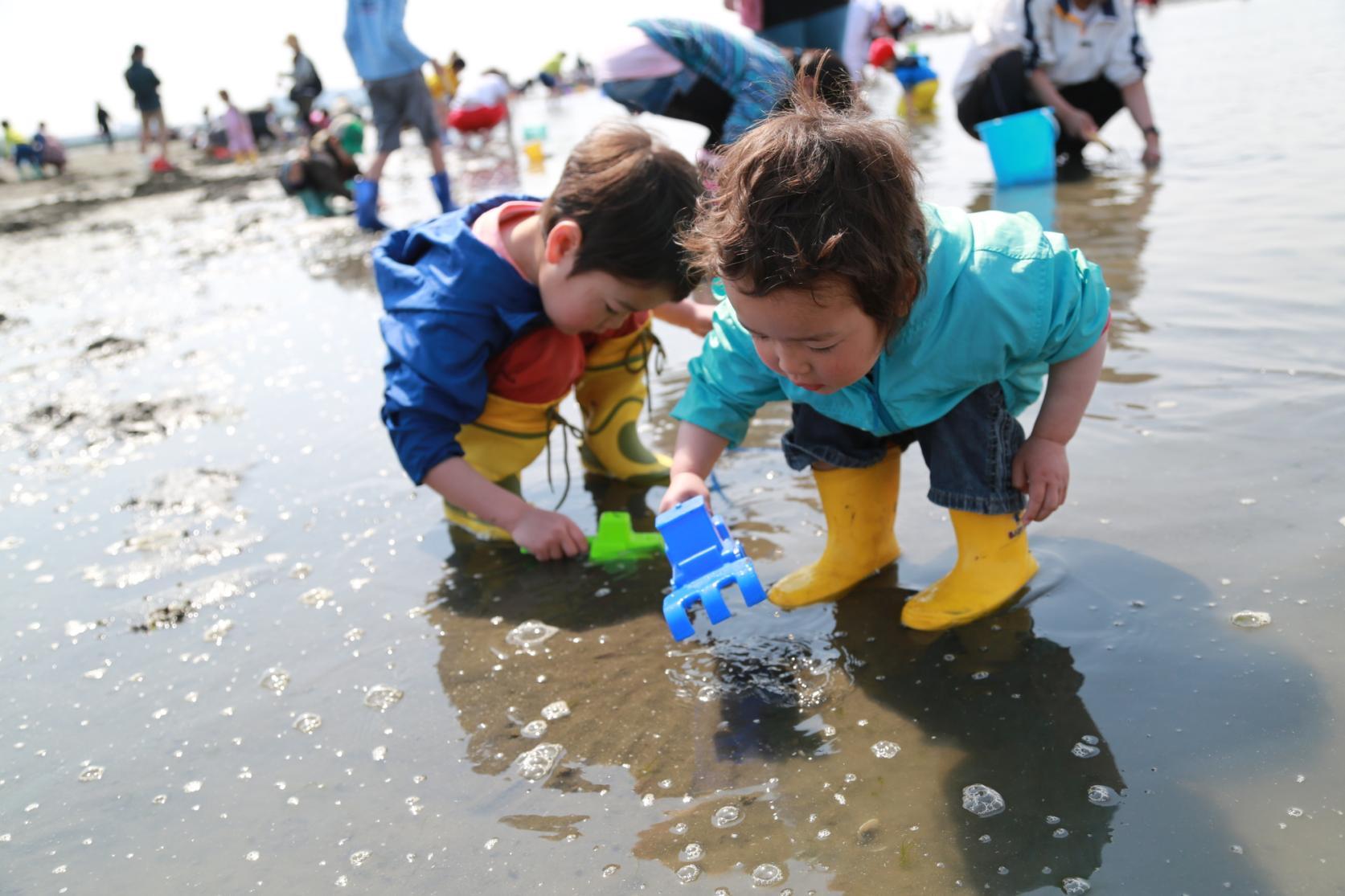 [Cancelled in 2022] Shiraishi Coast shell gathering-4