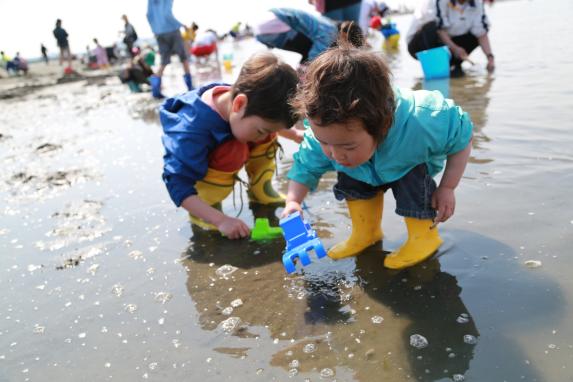 [Cancelled in 2022] Shiraishi Coast shell gathering-4