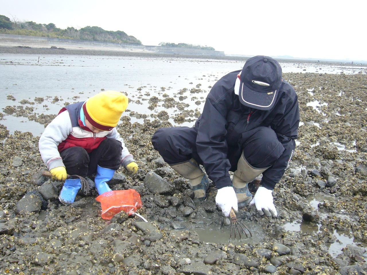 松江浦海岸潮干狩り