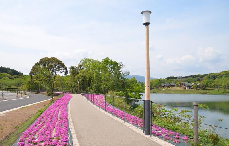 大池公園ふれあいの里-1