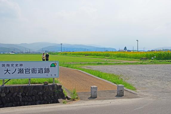 道の駅しんよしとみ遺跡前-8