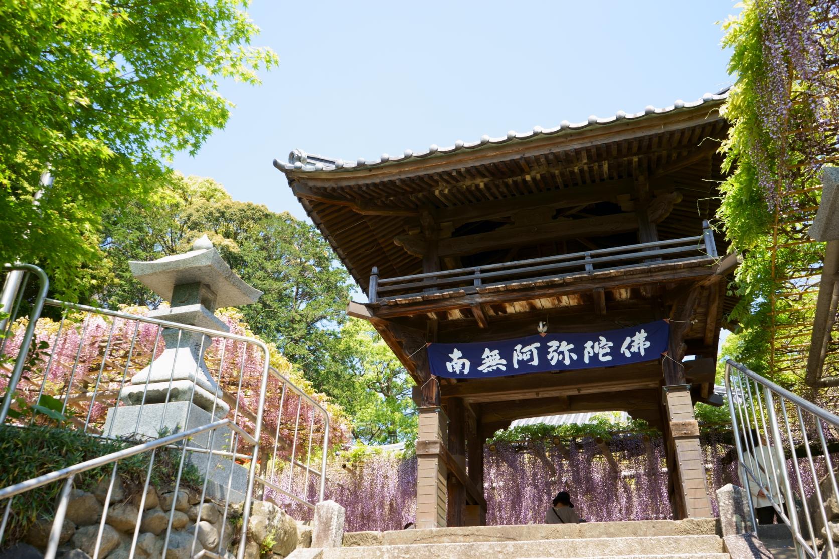 Kichijoji Temple-1
