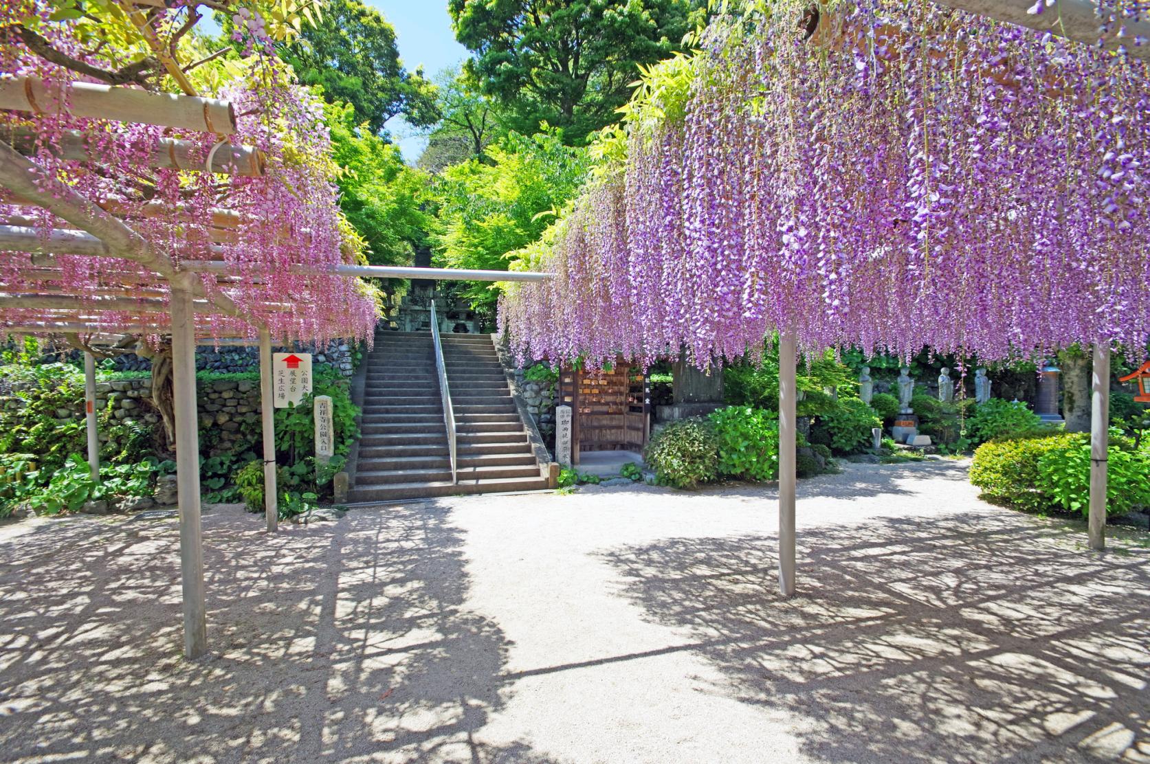 Kichijoji Temple