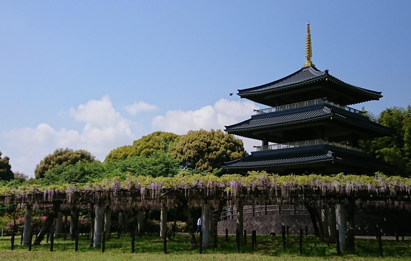 Kichijoji Temple-9