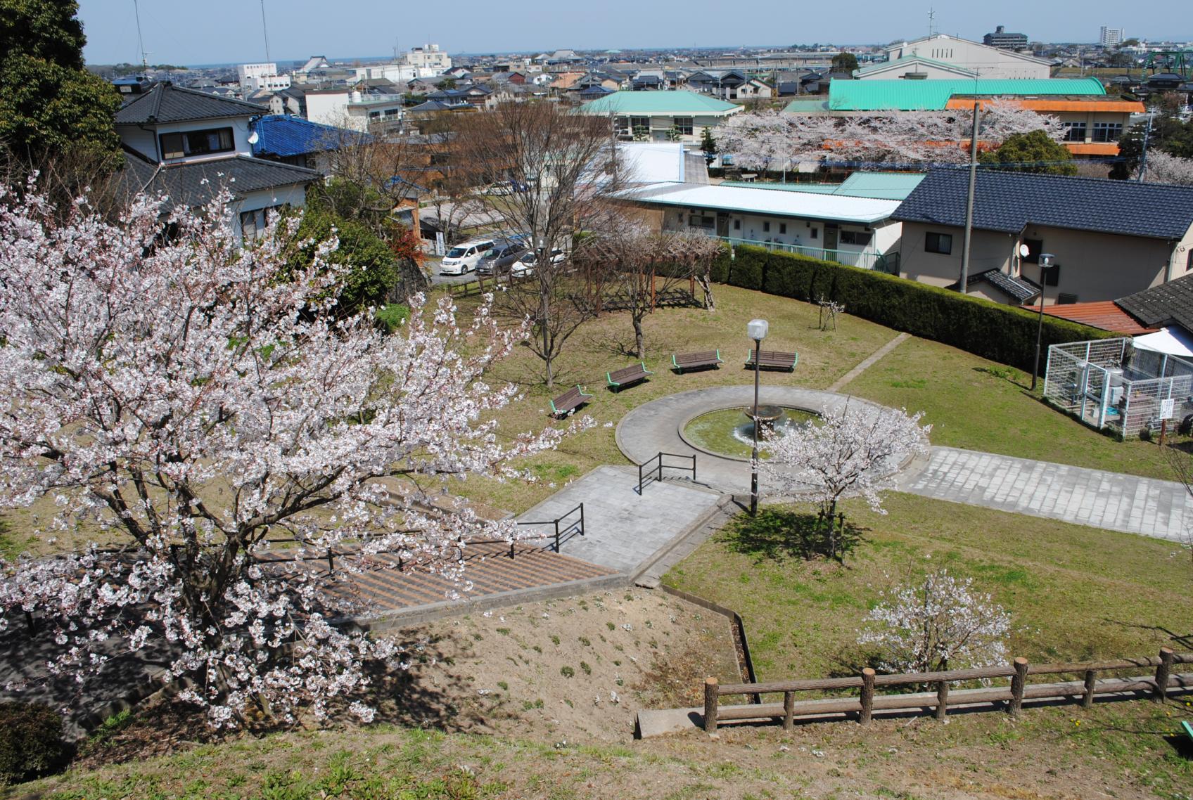 天仲寺公園