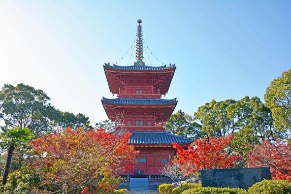 三重の塔 あなたは見たか！？ 日本唯一、国宝 安楽寺「八角三重塔」の立姿