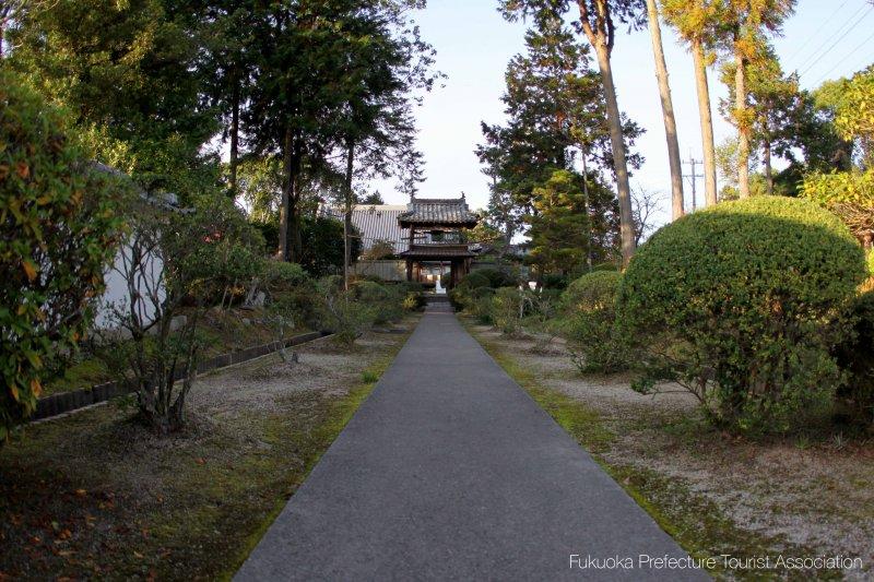 Buzen Kokubunji Temple’s Three-Story Pagoda-3