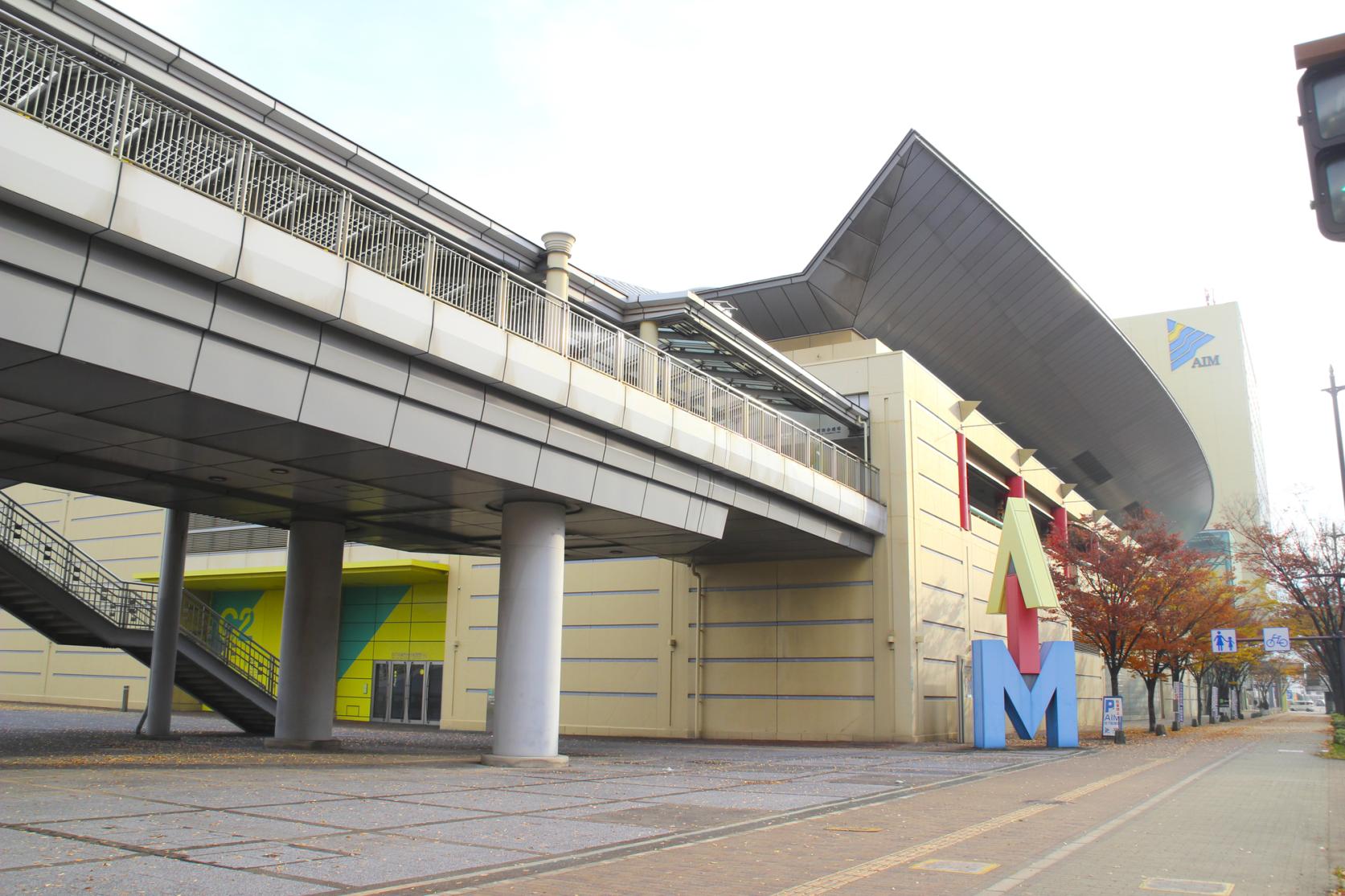 Asia-Pacific Import Market (AIM)