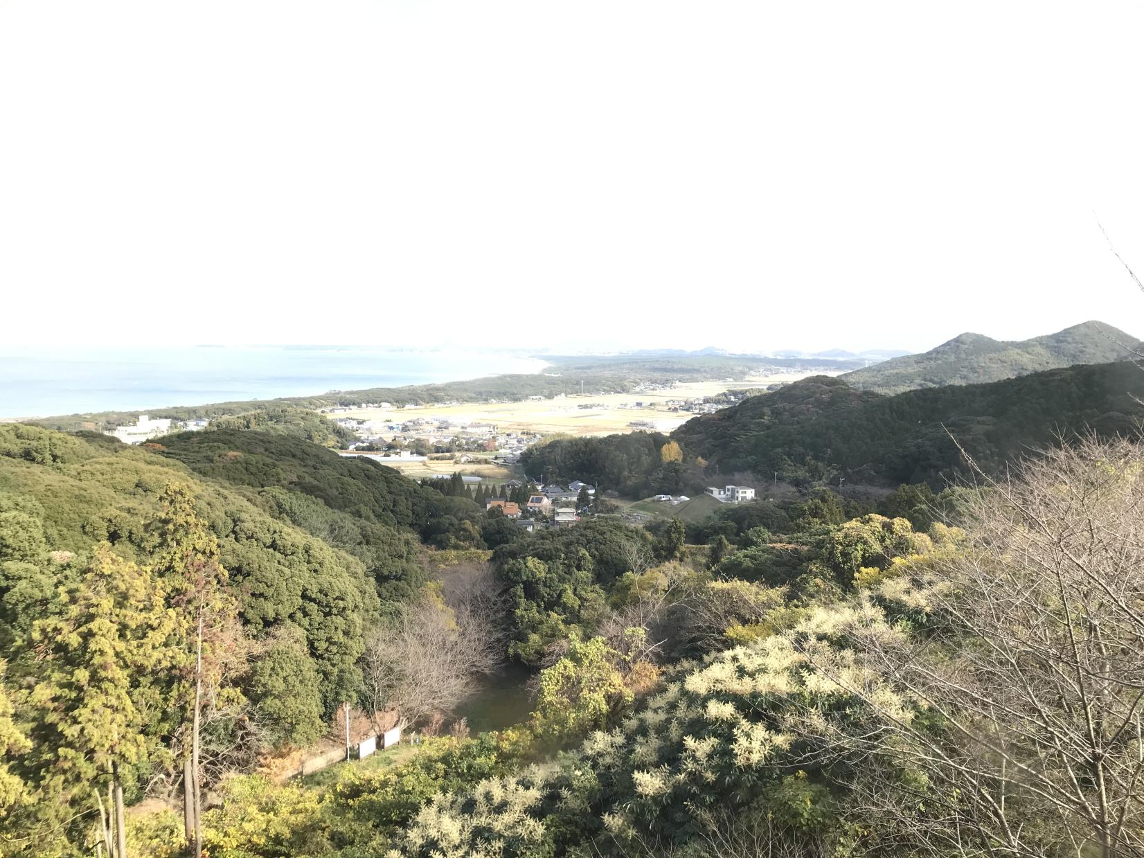 成田山不動寺-2