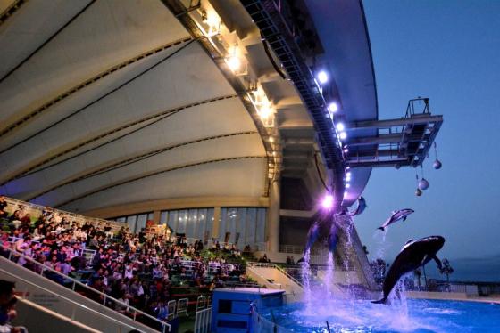 【マリンワールド海の中道】夜のすいぞくかん-1