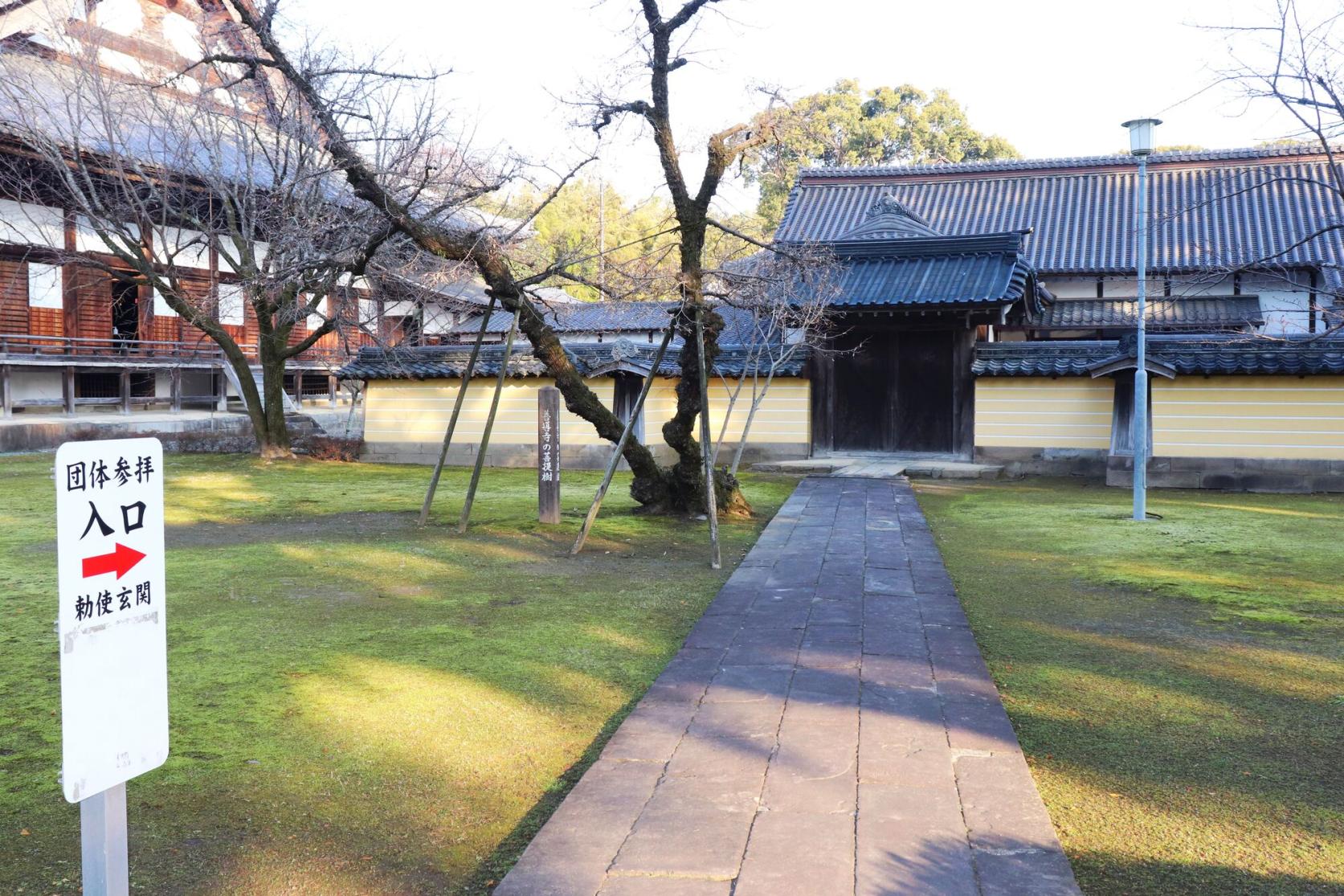 初詣スポット　大本山善導寺-1