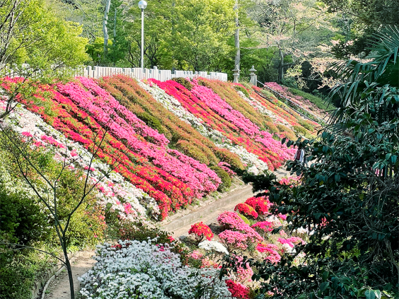 鎮国寺-2