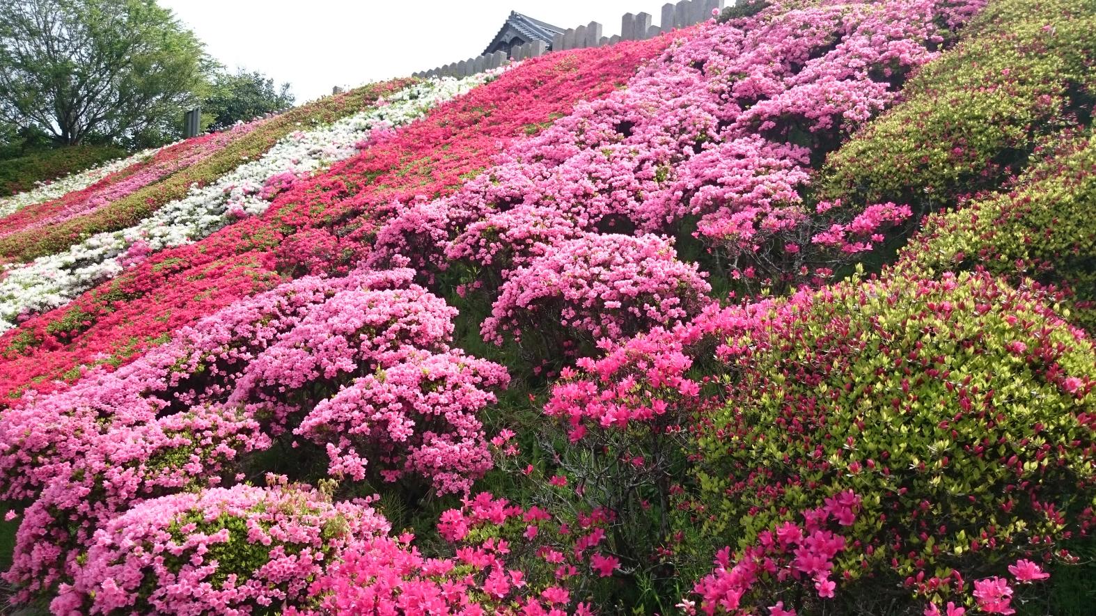 鎮国寺-3